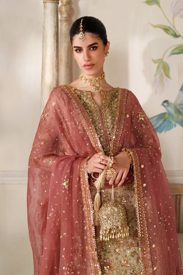 EMBROIDERED NET BAROUQE pakistani fashion outfit with coordinated…